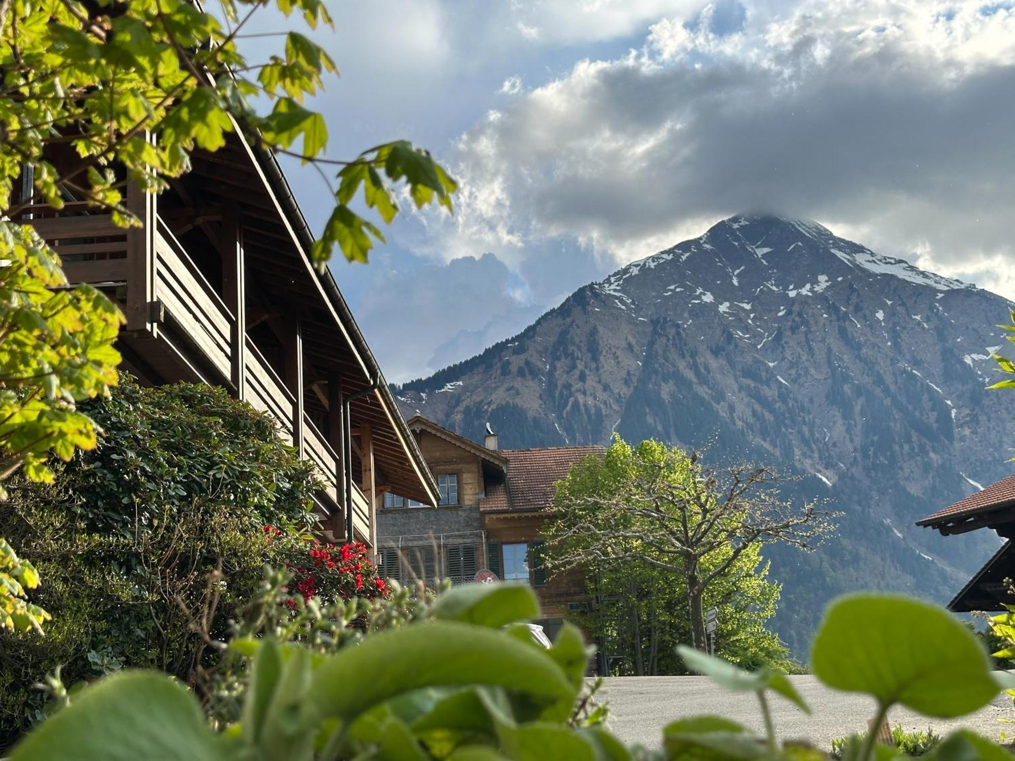 호텔 에이쉬파크 Aeschi Bei Spiez 외부 사진